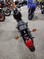 Thumbnail Photo 3 for New 2025 Yamaha V Star 250