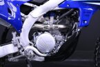 Thumbnail Photo 5 for New 2025 Yamaha WR250F