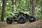 Thumbnail Photo 4 for New 2025 Yamaha YFZ450R