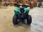 Thumbnail Photo 2 for New 2025 Yamaha YFZ50