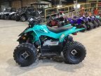 Thumbnail Photo 6 for New 2025 Yamaha YFZ50