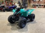 Thumbnail Photo 4 for New 2025 Yamaha YFZ50