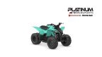 Thumbnail Photo 3 for New 2025 Yamaha YFZ50