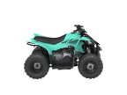 Thumbnail Photo 2 for New 2025 Yamaha YFZ50