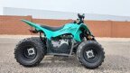 Thumbnail Photo 1 for New 2025 Yamaha YFZ50