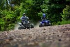 Thumbnail Photo 4 for New 2025 Yamaha YFZ50