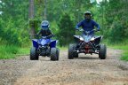 Thumbnail Photo 2 for New 2025 Yamaha YFZ50