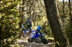 Thumbnail Photo 5 for New 2025 Yamaha YFZ50