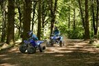 Thumbnail Photo 4 for New 2025 Yamaha YFZ50
