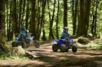 Thumbnail Photo 3 for New 2025 Yamaha YFZ50