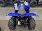 Thumbnail Photo 3 for New 2025 Yamaha YFZ50