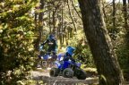 Thumbnail Photo 4 for New 2025 Yamaha YFZ50