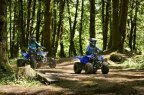 Thumbnail Photo 6 for New 2025 Yamaha YFZ50