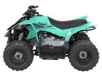 Thumbnail Photo 1 for New 2025 Yamaha YFZ50
