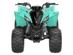 Thumbnail Photo 4 for New 2025 Yamaha YFZ50