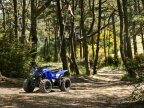 Thumbnail Photo 4 for New 2025 Yamaha YFZ50