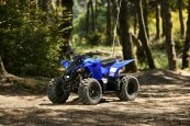 New 2025 Yamaha YFZ50