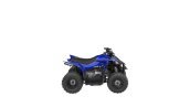 New 2025 Yamaha YFZ50