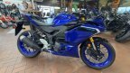 Thumbnail Photo 3 for New 2025 Yamaha YZF-R3