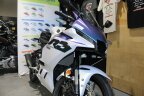 Thumbnail Photo 3 for New 2025 Yamaha YZF-R3