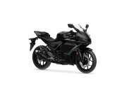 New 2025 Yamaha YZF-R3