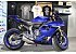 New 2025 Yamaha YZF-R7