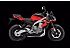 New 2026 Aprilia Tuono Rally