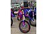 New 2026 Beta 250 RR