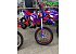 New 2026 Beta 430 RR