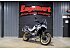 New 2026 CFMoto Ibex 800