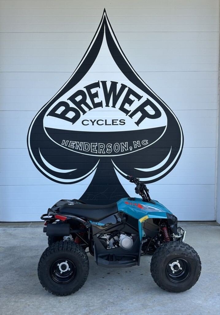 New 2026 Can-Am Renegade 110