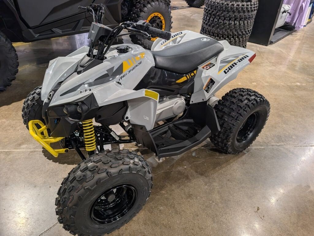 New 2026 Can-Am Renegade 110