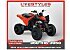 New 2026 Can-Am DS 250