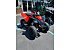 New 2026 Can-Am DS 250