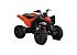 New 2026 Can-Am DS 250