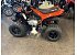 New 2026 Can-Am DS 250