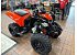 New 2026 Can-Am DS 250