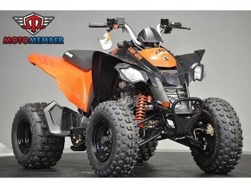 New 2026 Can-Am DS 250
