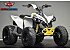 New 2026 Can-Am Renegade 110
