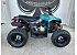 New 2026 Can-Am Renegade 110