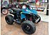 New 2026 Can-Am Renegade 110