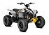 New 2026 Can-Am Renegade 110