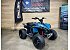 New 2026 Can-Am Renegade 110