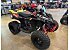 New 2026 Can-Am Renegade 110
