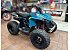 New 2026 Can-Am Renegade 110