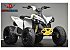 New 2026 Can-Am Renegade 110