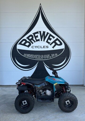 New 2026 Can-Am Renegade 110