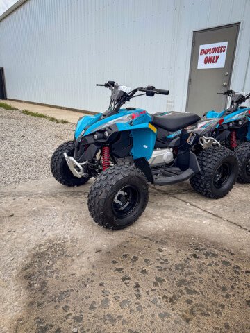 New 2026 Can-Am Renegade 110