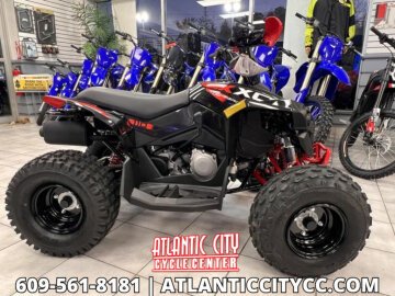 New 2026 Can-Am Renegade 110