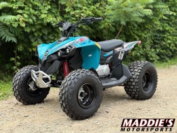 New 2026 Can-Am Renegade 110